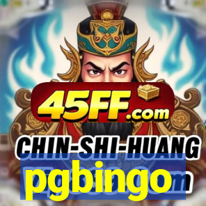 pgbingo